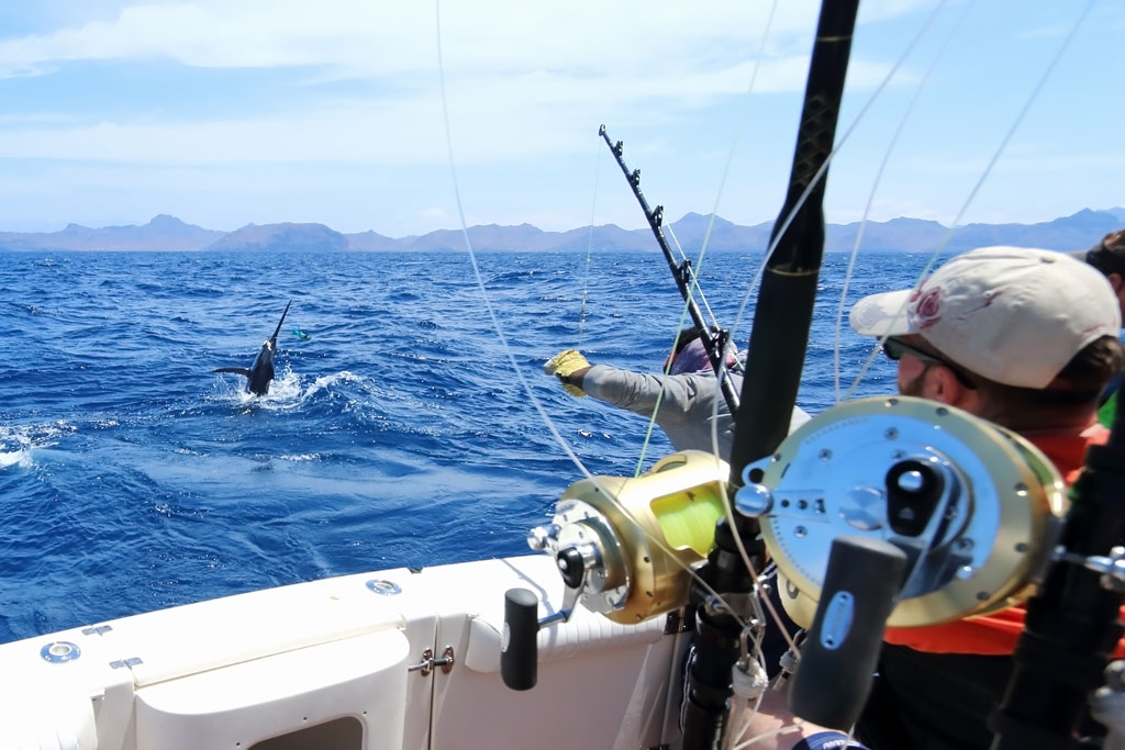 asparpi-Sea-Fishing